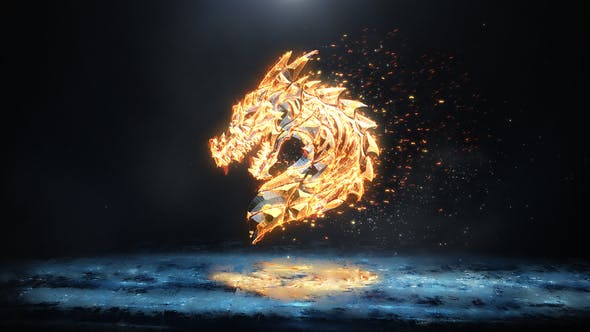 Ice and Flame Logo