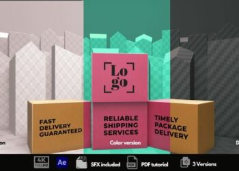 VideoHive Delivery Experts 46062159