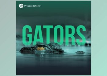 Pro Sound Effects - Gators