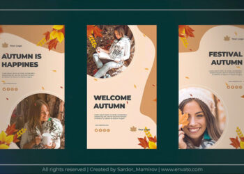VideoHive Autumn Instagram Story 47579974