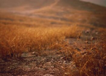 VideoHive Golden Rocks and Grass in Mountains 47581078