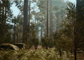 VideoHive Tall Forest of Sequoias in Yosemite National Park 47581270