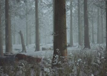 VideoHive Winter Pine Forest with Fog in the Background 47581362